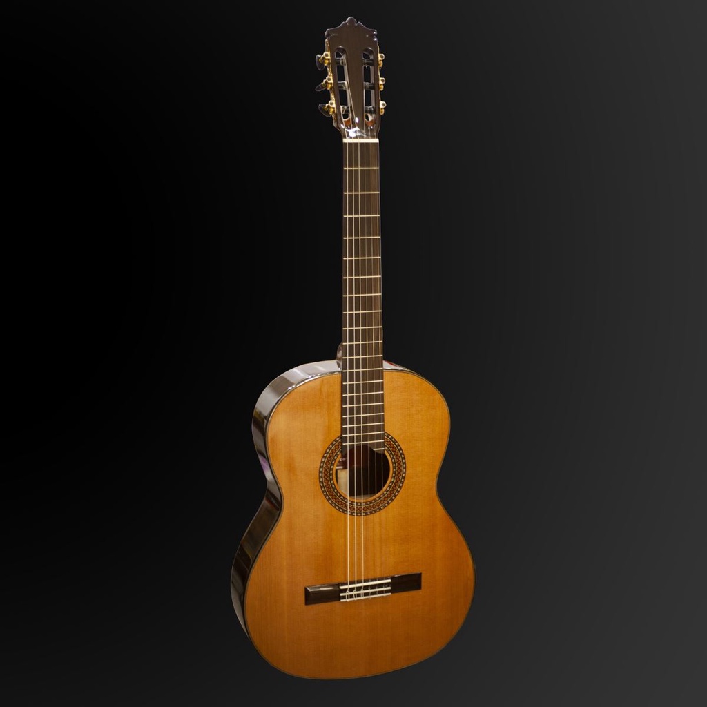 Đàn Guitar Martinez MC-88C Chính Hãng -Tặng Kèm Bao Đàn ,Capo,Pick