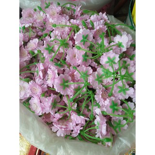 COMBO 1kg hoa + 0,5kg kẽm
