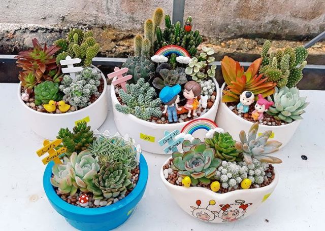 Tiểu Cảnh - Mô hình cầu vồng trang trí tiểu cảnh terrarium