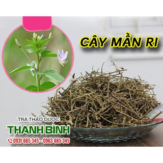 Combo 2Kg Cây Mần Ri Khô - Hàng Công Ty Chất Lượng