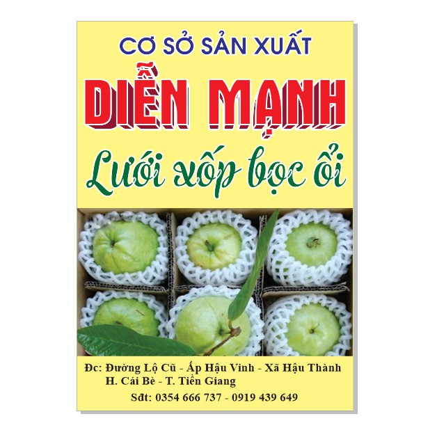 Combo tờ rơi khổ A5 in nhanh