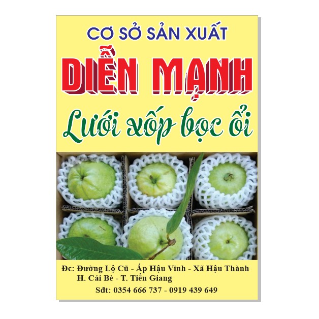 Combo tờ rơi khổ A5 in nhanh