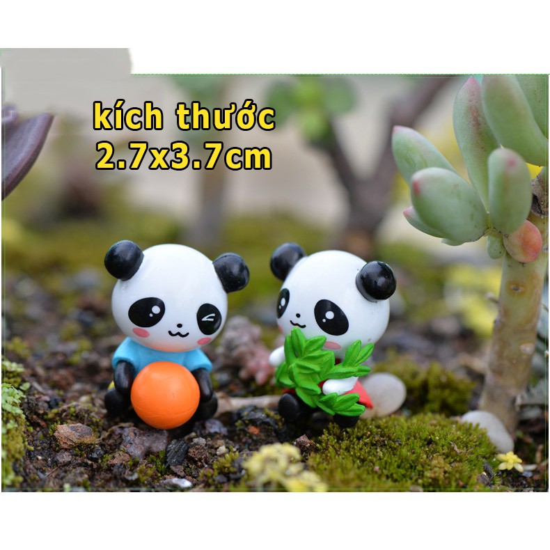 Gấu trúc panda - đồ lưu niệm, quà tặng, trang trí tiểu cảnh terrarium