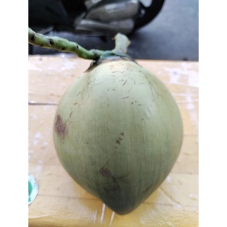 Trái cây: Dừa xiêm nguyên trái
