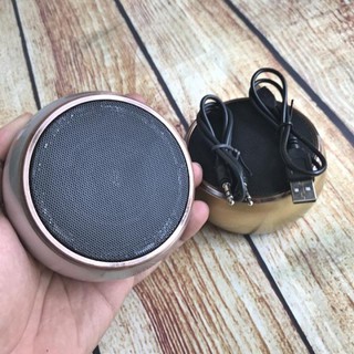 Loa Bluetooth CR-X88