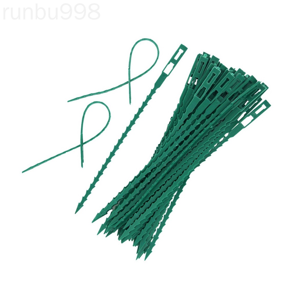 Set 50 Dây Nhựa Buộc Cây Leo Có Thể Điều Chỉnh Và Tái Sử Dụng Hỗ Trợ Runbu998