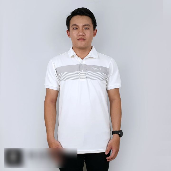 Áo thun nam có cổ POLO PEGASUS PG101 3M - Vải cotton lạnh đẹp, form basic thoải mái THE BASIC STORE | BigBuy360 - bigbuy360.vn