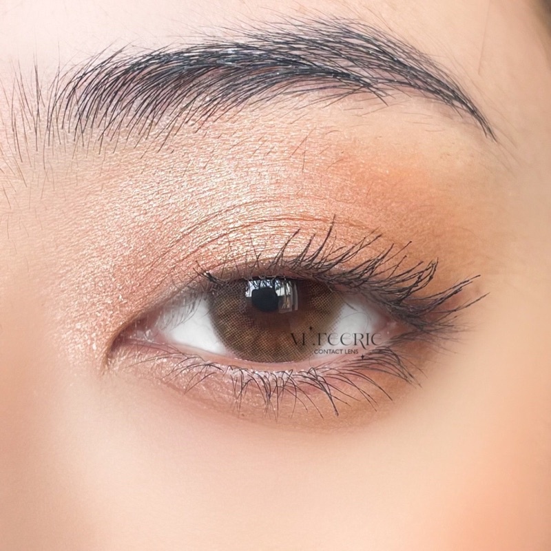 Lens nâu PUPLOY BROWN 0 độ nhập khẩu Hàn Quốc