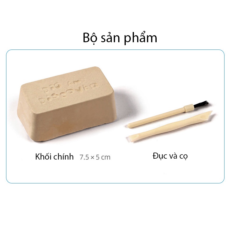 Đồ chơi giáo dục khám phá khảo cổ KAVY hóa thạch khủng long, chim cánh cụt, kho báu