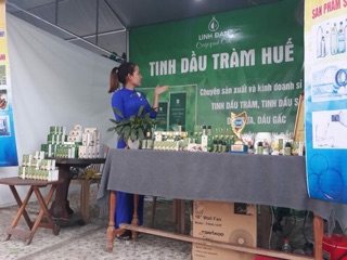 Tinh dầu tràm Linh Đan