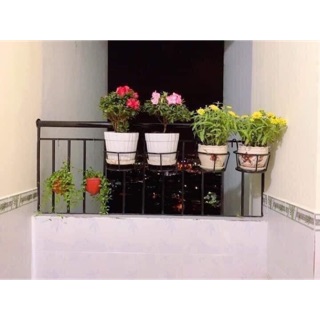 Giỏ treo cây ban công