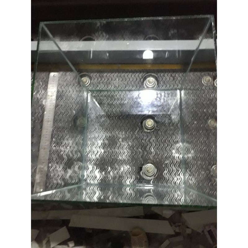 Bể betta. bể cá mini để bàn 20.20.20 cb20 kính 5mm