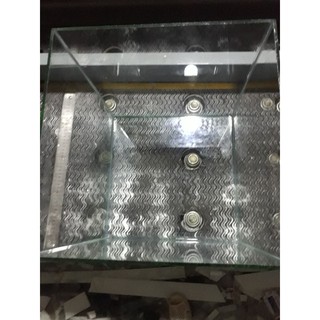 bể betta. bể cá mini để bàn 20.20.20 cb20 kính 5mm