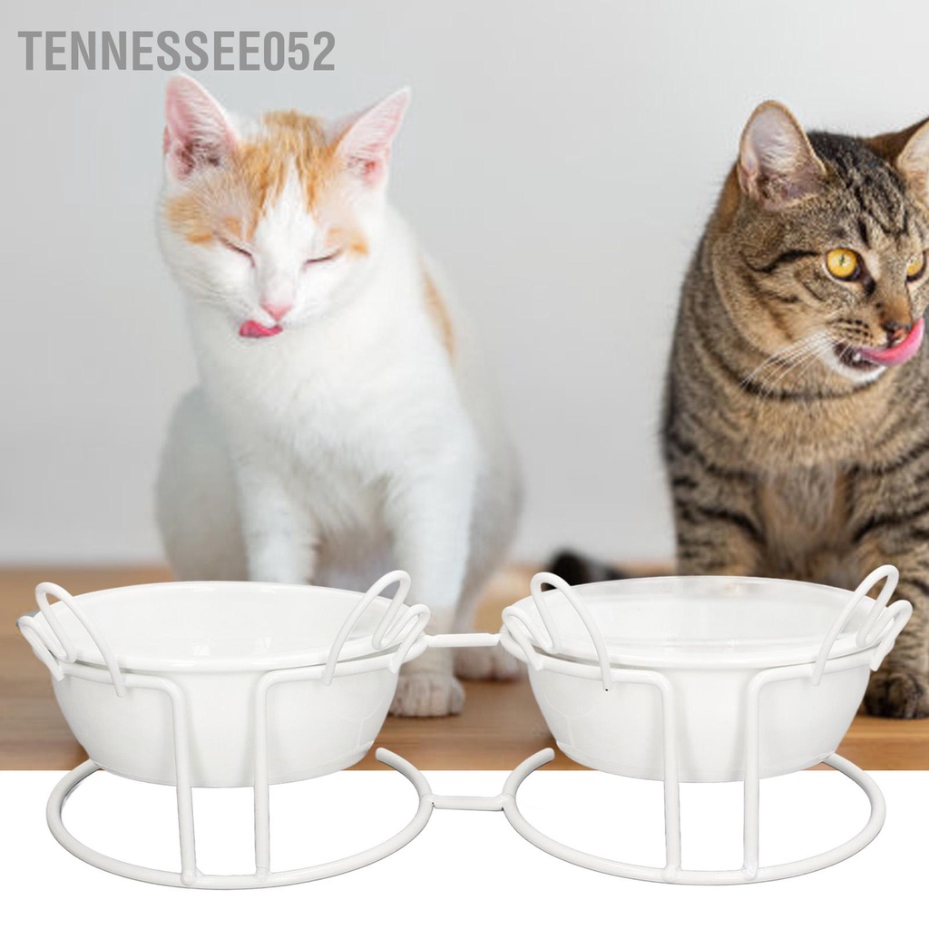 [Hàng Sẵn] Bát Ăn Bằng Sứ Cao Cấp Cho Mèo- Chén Ăn Chống Gù Có Đế Kim Loại【Tennessee052】