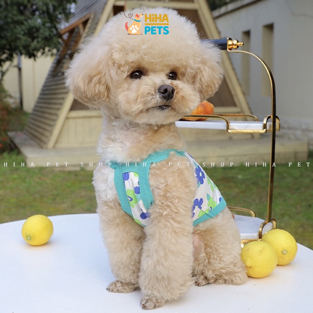 Quần Áo Cho Cún Mèo Cao Cấp Quần Áo Thú Cưng Mùa Hè 2022 Mới Nhất Hihapet.