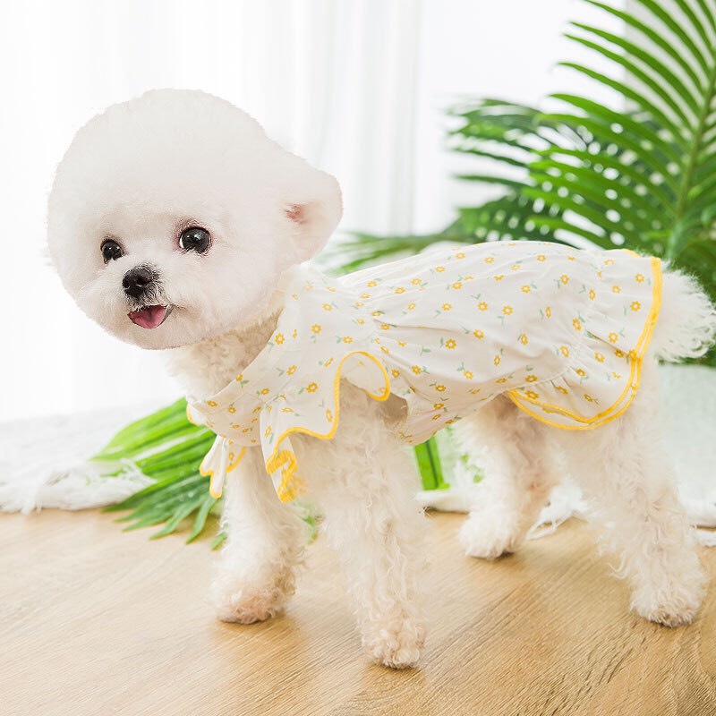 Váy giá rẻ dành cho mèo và chó - áo váy tay cánh tiên nền trắng hoa cúc vàng nhỏ cho thú cưng.