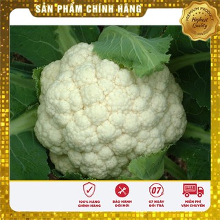 Hạt Giống Súp Lơ Trắng F1