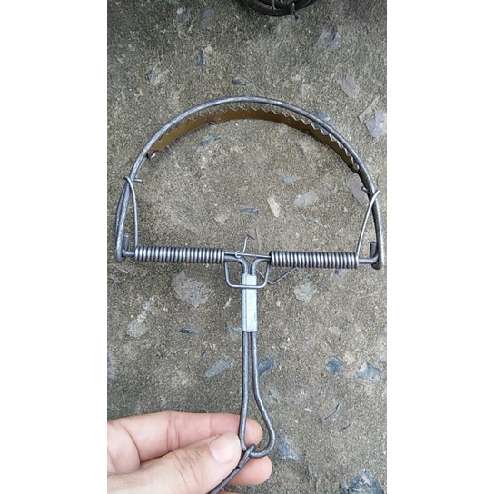 Bẫy răng vòng cung đập chuột, hình bán nguyệt, bẫy chuột thông minh chuyên dụng