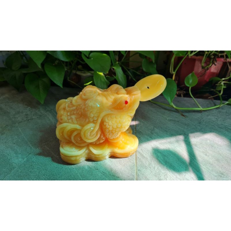 Thiềm Thừ  Đá Ngọc Hoàng Long  kích thước dài 10cm, 12cm,16cm