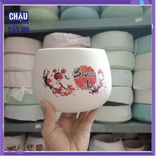Chậu sứ Chậu hạt dẻ dán decal loại nhỏ trồng cây trang trí ngày tết,cây để bàn cực chill