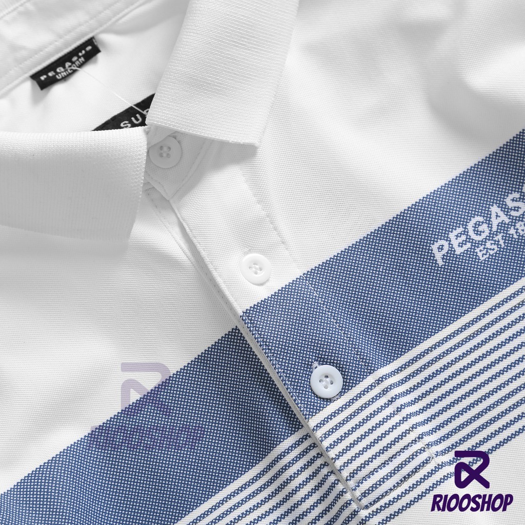 Áo nam polo, áo phông có cổ nam tay ngắn, có size lớn, form rộng, cao cấp, vải dày, basic, đẹp, vnxk RIOOSHOP RSP040