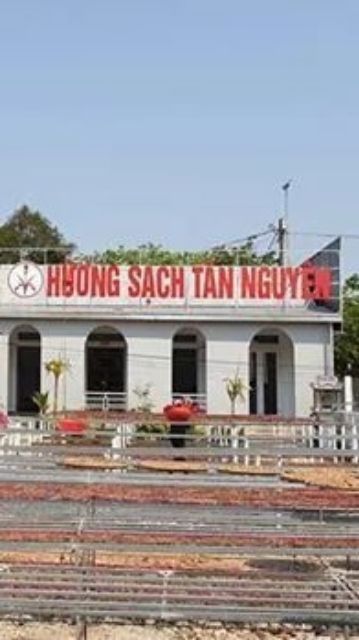 Hương trầm Tân Nguyên hộp cao cấp