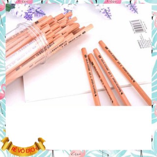 Combo 50 bút chì gỗ 2B cao cấp