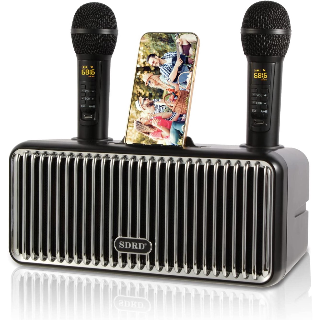 Loa Karaoke SDRD SD-319 Pro Bluetooth