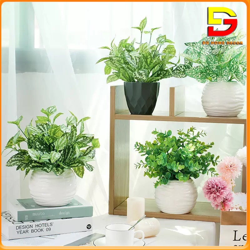 Chậu Cây Để Bàn Cây Giả Decor Nhiều Mẫu Trang Trí Nhà Cửa Quán Cafe Nhà Hàng DG-103