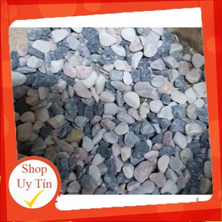 Sỏi 3 màu trang trí🔥 |FREESHIP 🌺 HÀNG UY TÍN | LỖI 1 ĐỔI 1
