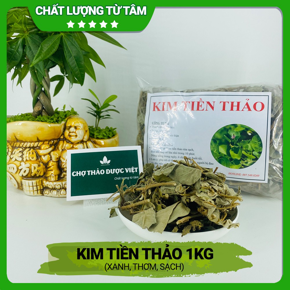 Kim tiền thảo 1kg (Kim tiền khô, râu mèo lợi tiểu, tiêu sỏi) - Chợ Thảo Dược Việt