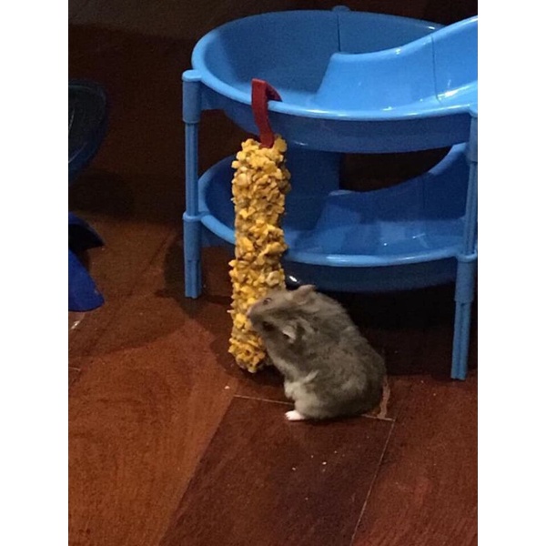 Ngũ cốc thức ăn nén Vitapol cho Hamster, Thỏ, Bọ, Sóc Bông,...