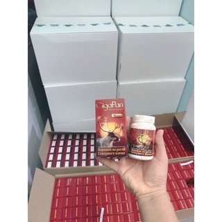 Viên uống nhung hươu Cigapan Nga 60v ngăn ngừa lão hoá, cho giấc ngủ ngon