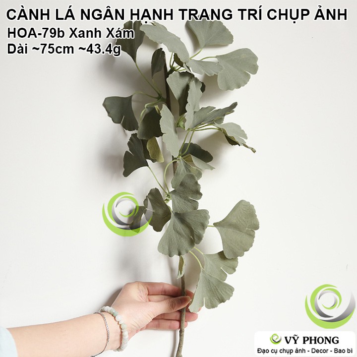 CÀNH LÁ NGÂN HẠNH RẼ QUẠT TRANG TRÍ ĐÁM CƯỚI ĐẠO CỤ CHỤP ẢNH SẢN PHẨM INS HOA-79