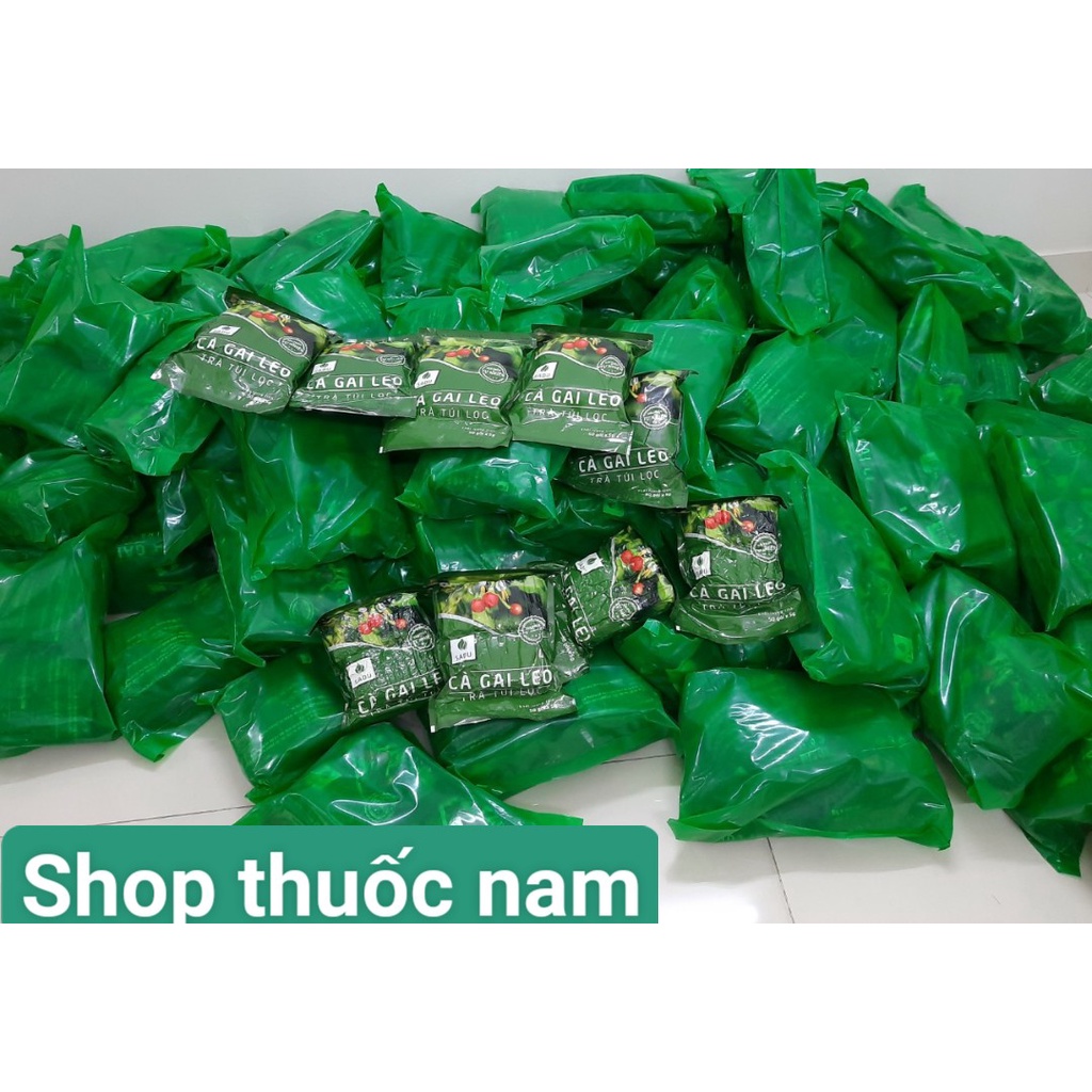 BÁN SỈ Trà túi lọc cà gai leo sadu