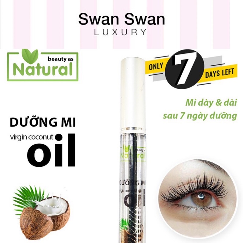 Dầu Dừa Dưỡng Dầy Mi 15ml