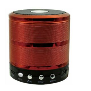 Loa Bluetooth mini WS 887