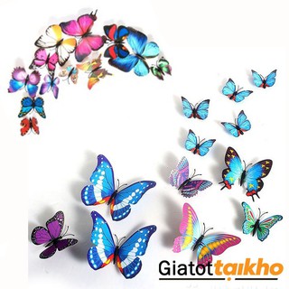 Combo 24 con bướm 3d dán tường chuẩn