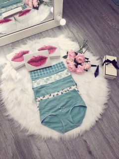 Set 4 quần chíp cạp cao