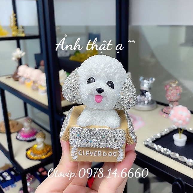 Cây tài lộc trang trí taplo xe , mix set trang trí siêu xinh tạo điểm nhấn cho xế yêu mang lại sự tươi mới và bình an