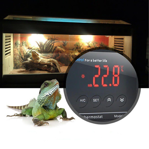 Cảm biến nhiệt độ cho chuồng bò sát, rùa, cá