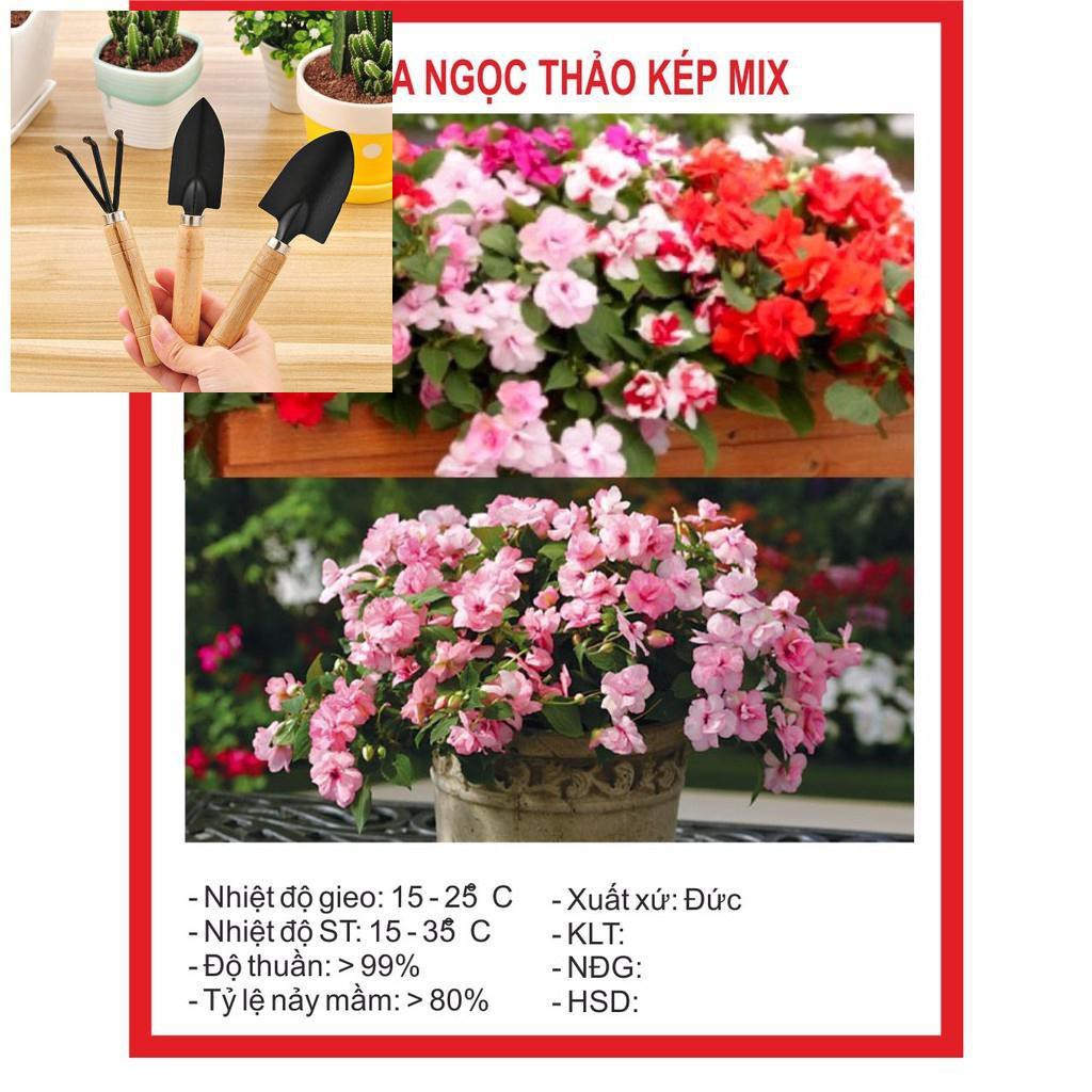 Hạt Giống Hoa Ngọc Thảo Kép Mix (Mai Địa Thảo) 20 Hạt TẶNG BỘ LÀM VƯƠN MINI