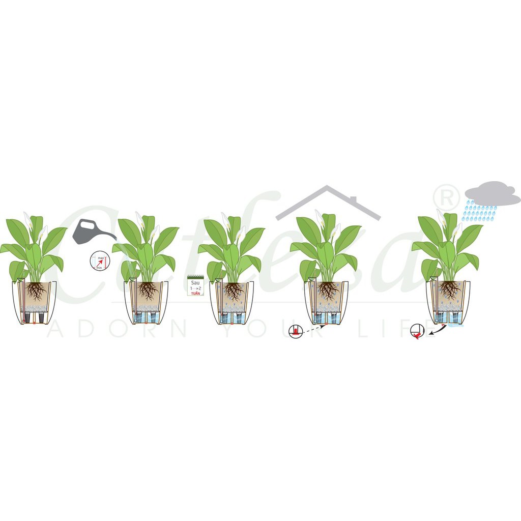 Chậu trồng cây tự tưới, R26xC26cm, vuông bầu, sơn trắng, siêu nhẹ, thẩm mỹ, độ bền cao |Greenhome