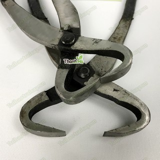 Kìm cạp chẻ cành bonsai D15