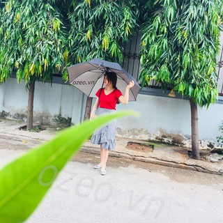 Dù Đi Mưa Tự Động Một Chiều Đen