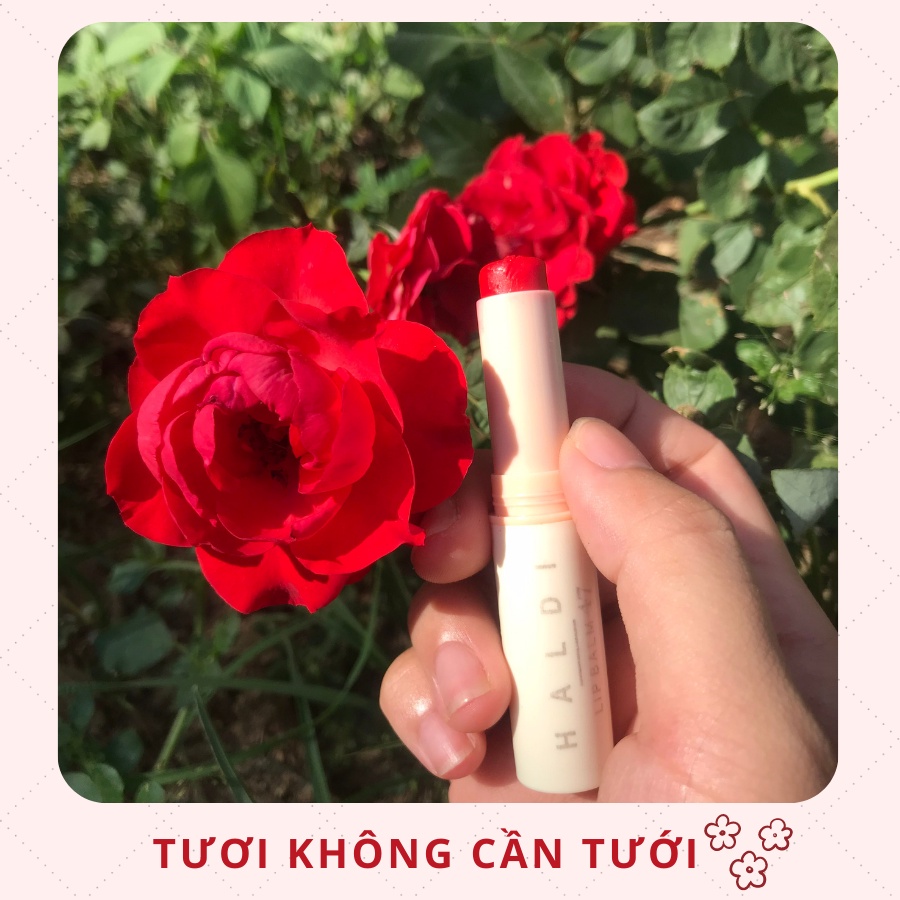 Son Dưỡng Mềm Môi, Chống Khô Nẻ, Giảm Thâm Môi, Lên Môi Tươi Tắn - Son Dưỡng Nghệ Không Màu/Có Màu Epis
