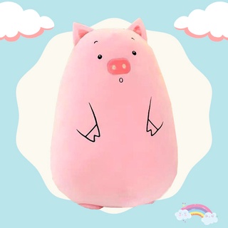 [CHUYÊN SỈ GIÁ SỐC] Gấu Bông Ôm Hình Heo Tròn 50CM SIêu Mềm Mịn Ngộ Nghĩnh [ DIABRAND ]