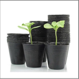 Set 10 bầu ươm cỡ nhỏ kt 10x10cm bầu nilon đen