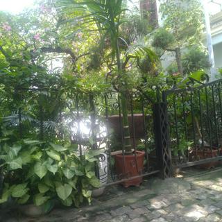 Shop gia dụng và phụ tùng