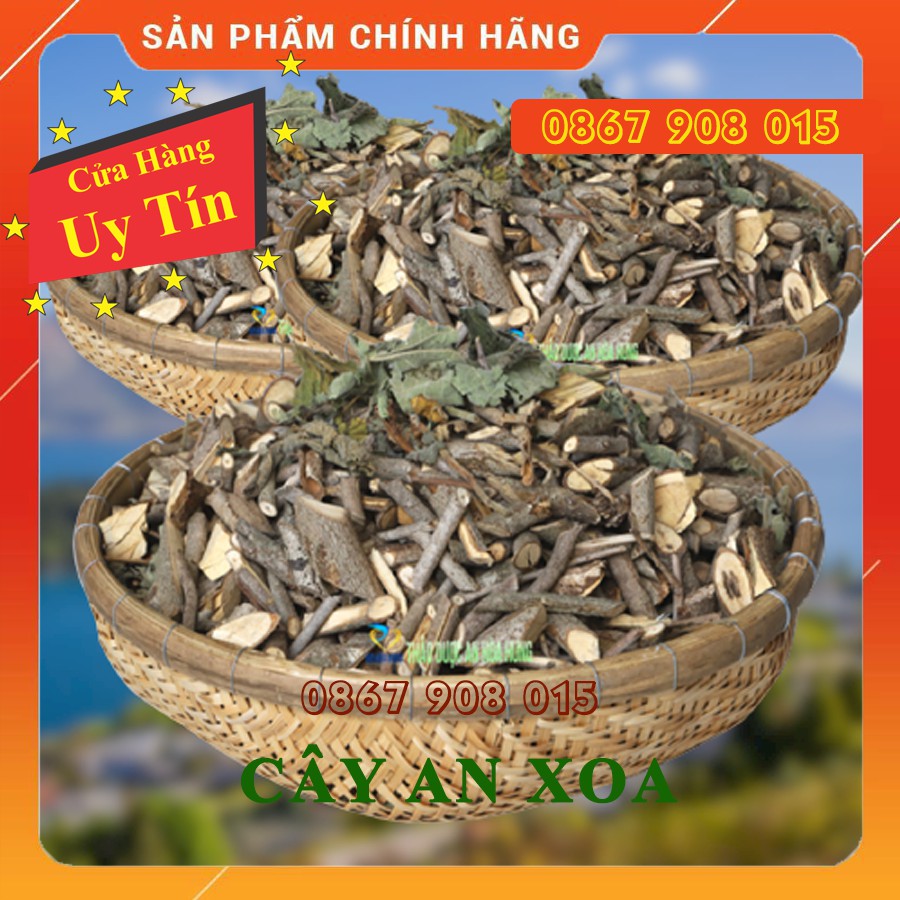 Cây An Xoa Khô - Thanh nhiệt, ổn định men gan, cải thiên tiêu hóa, mất ngủ